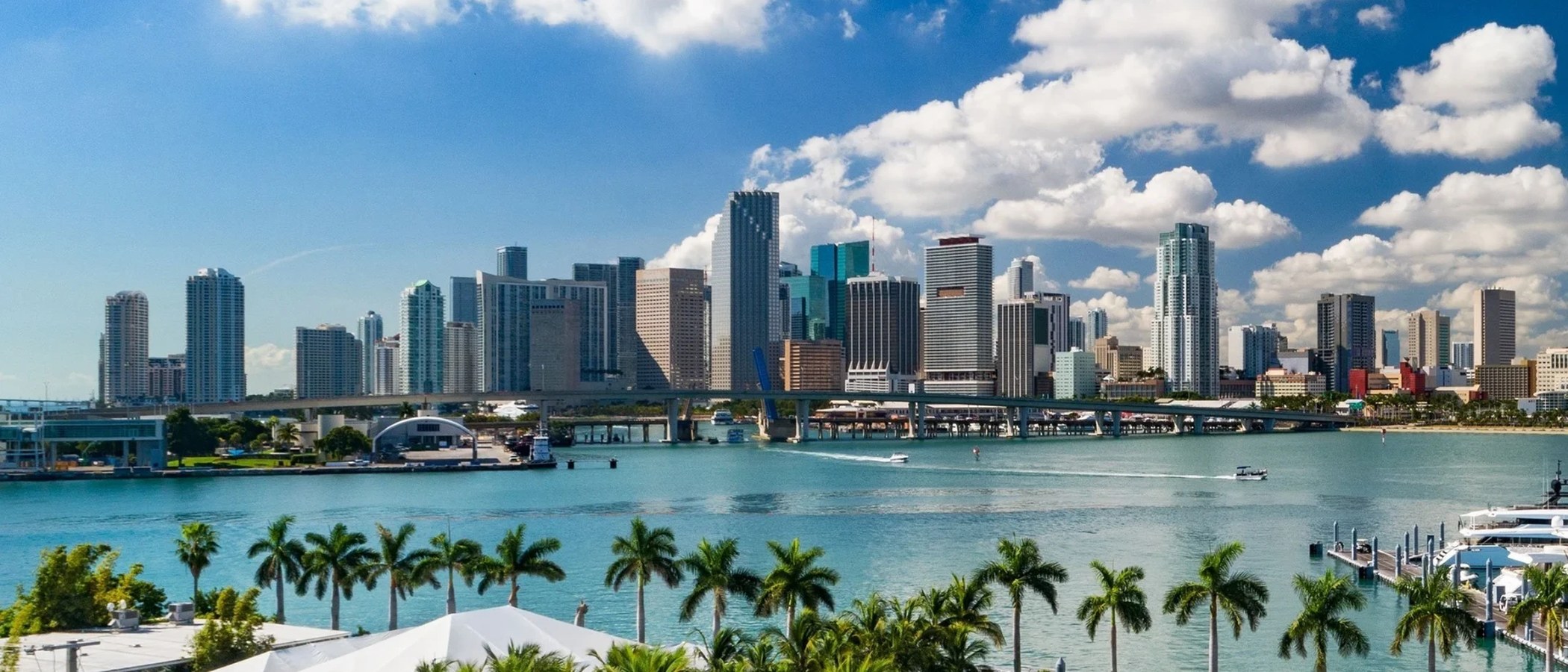 Skyline de Downtown Miami visto da Biscayne Bay, com palmeiras e marina em primeiro plano