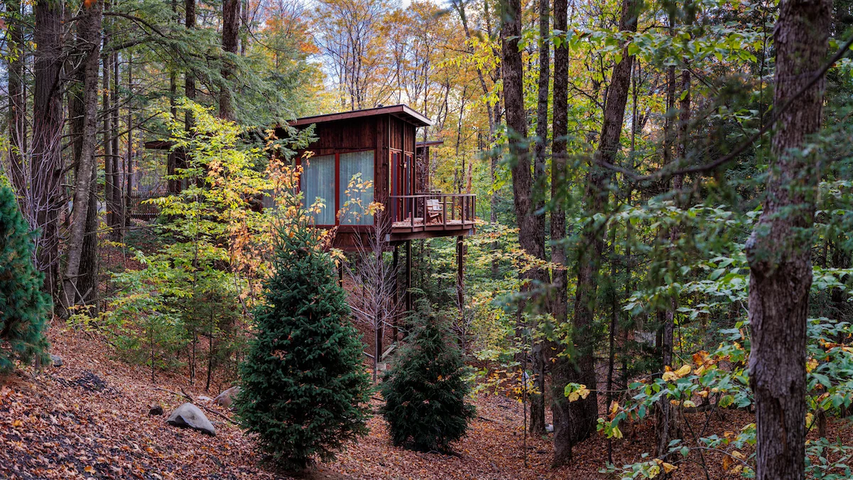 Treehouse de altíssimo padrão em Vermont: a hospitalidade que vende floresta como amenidade